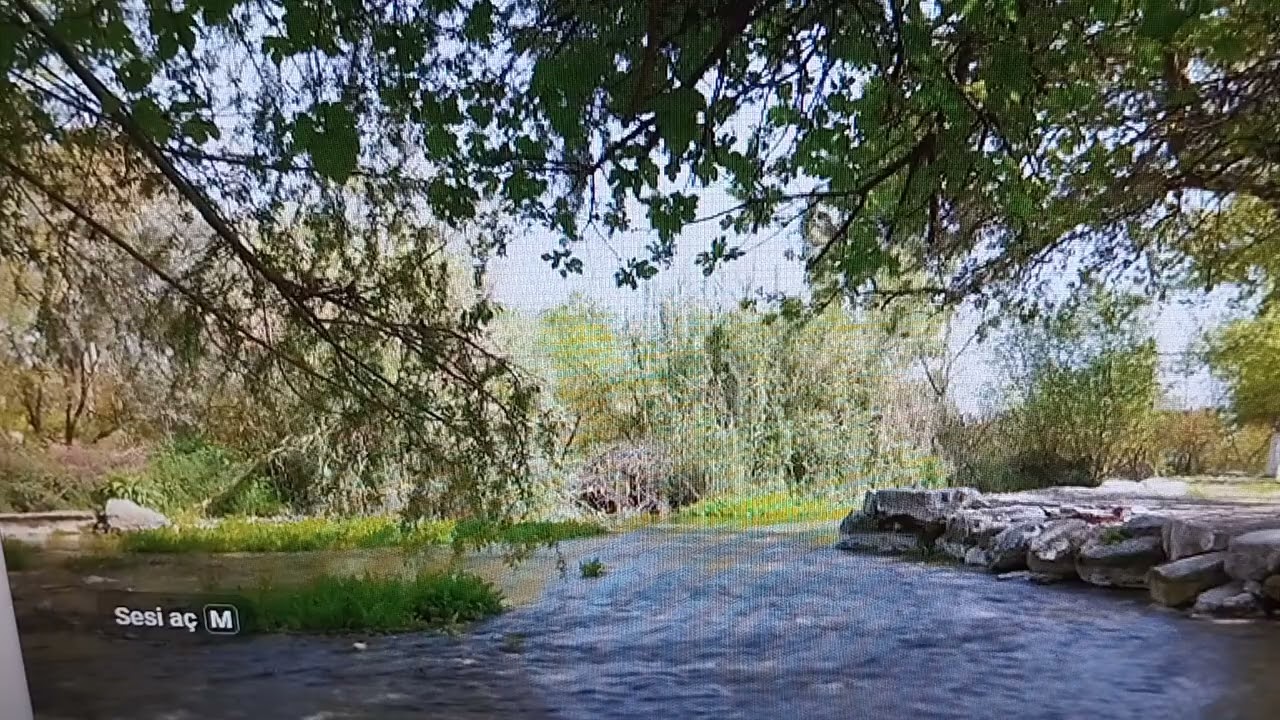 nem kaldı