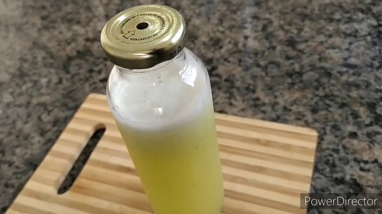 PARTE I - Suco de Frutas Fermentado (Refrigerante Natural Caseiro)