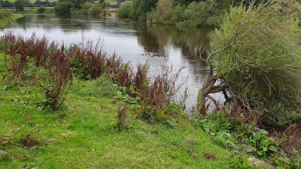 Start of the S Bends on the River Severn, Buildwas, Nr Ironbridge,  Telford 20.8.19