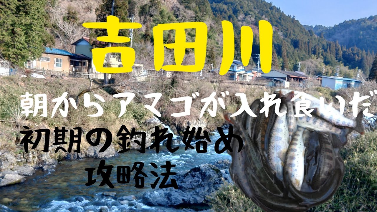吉田川。朝からアマゴが入れ食いだ。初期の釣れ始め攻略法。