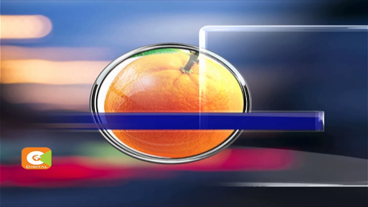 ODM Primaries: Bungoma, Busia Results