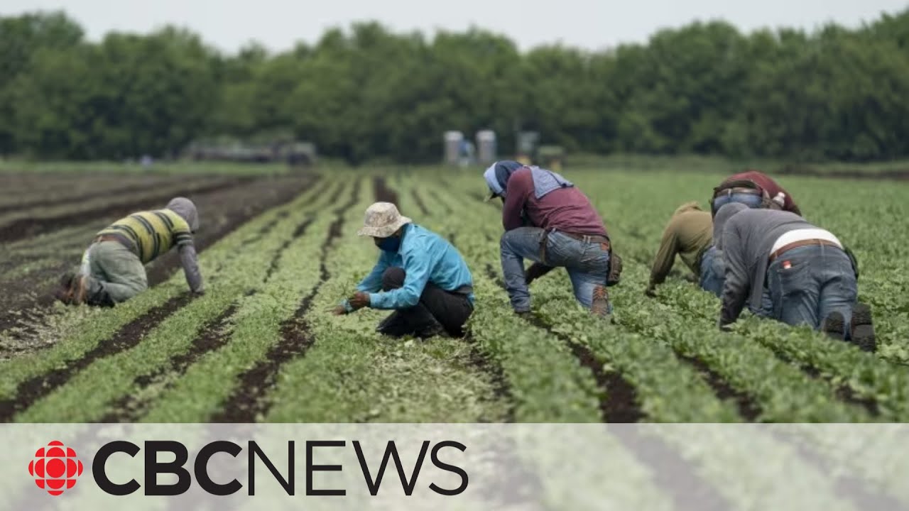 Canada's temporary foreign worker program linked to contemporary forms of slavery: UN