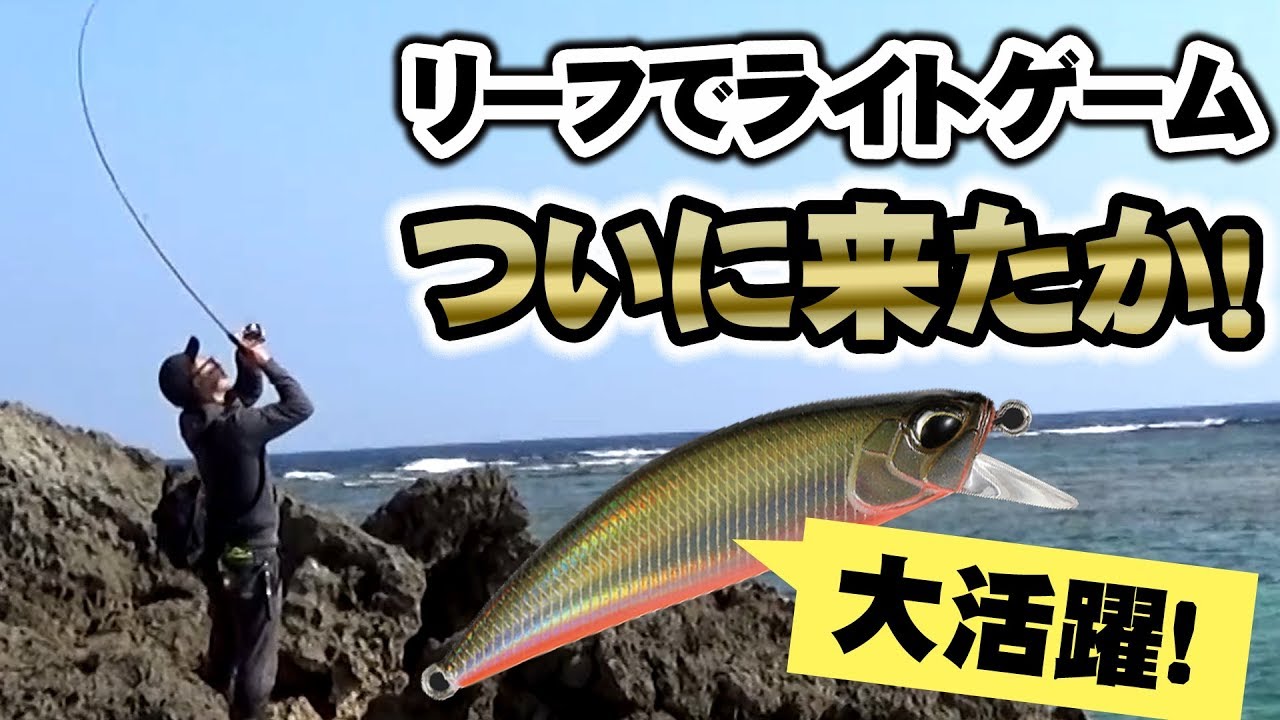 リーフでライトゲーム！ギャング初タマン？そしてやばい本命が！！