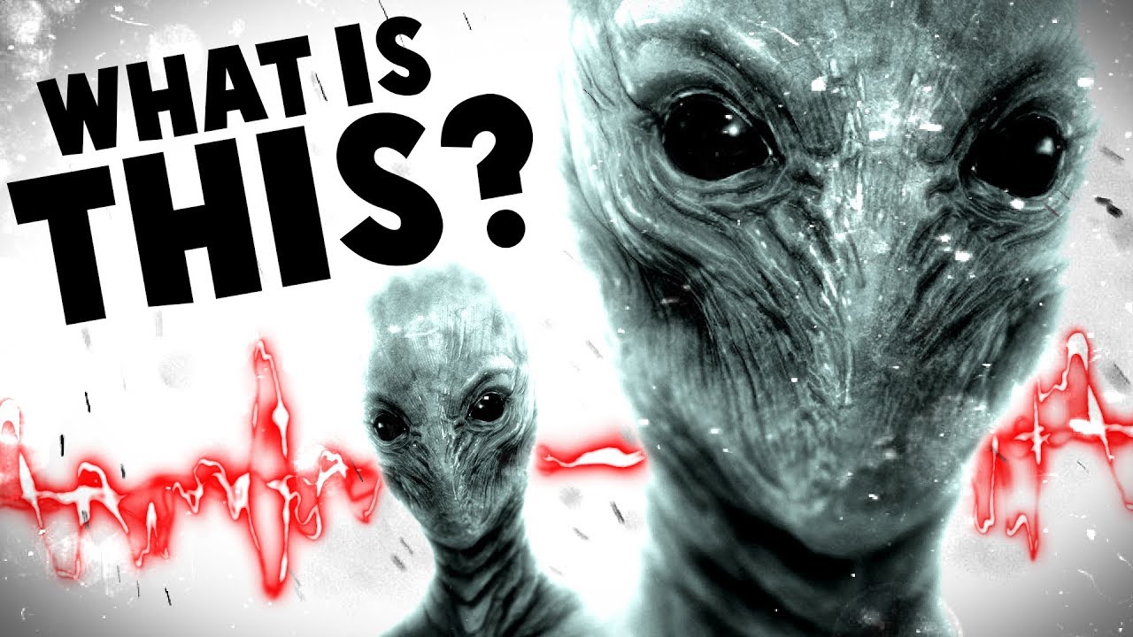 MYSTERIOUS ALIEN SIGNALS DISCOVERED - Modules, New Signals & More! - Signal Simulator Gameplay