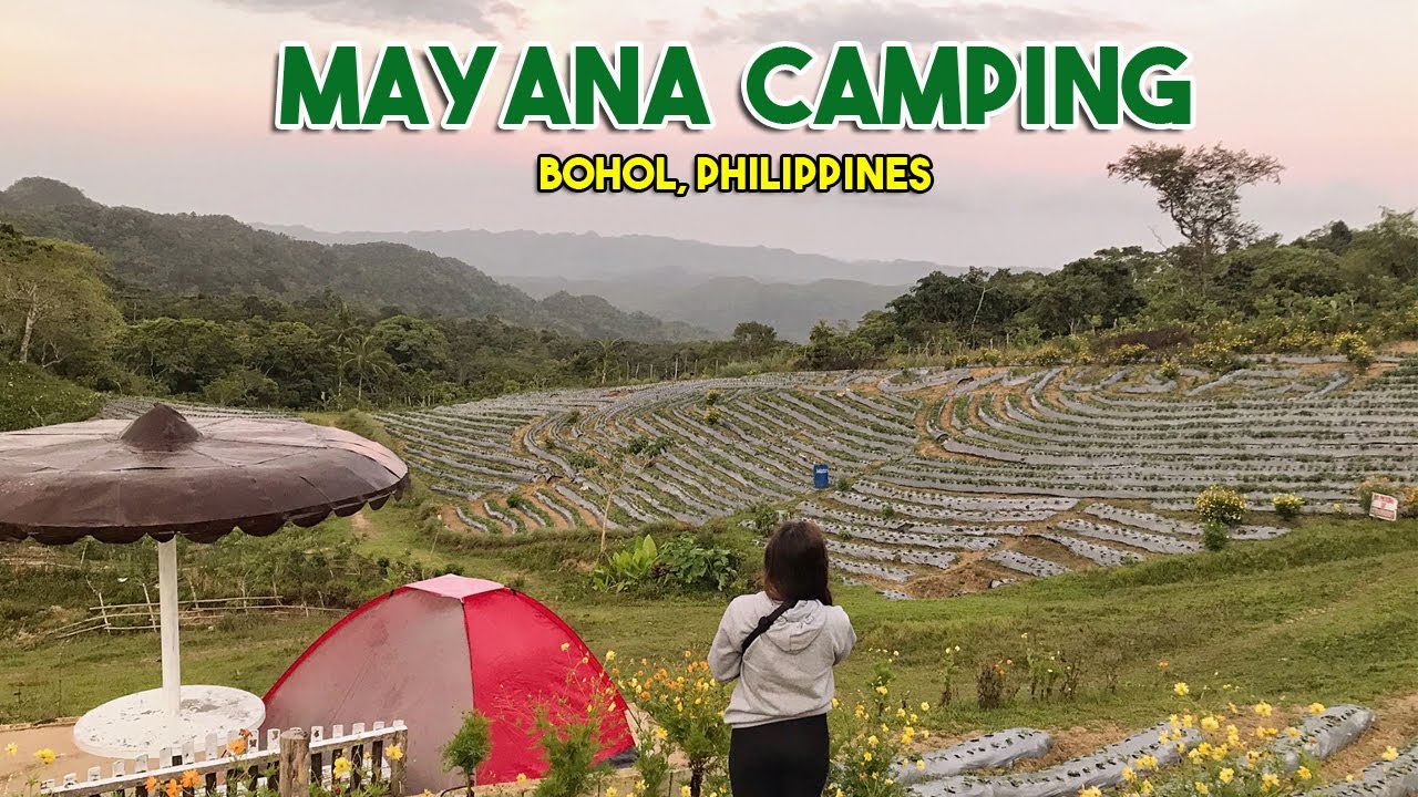 MAYANA HIGHLAND CAMPING | STRAWBERRY FARM | BorjKhalifa