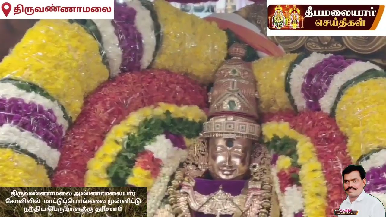 திருவண்ணாமலை அண்ணாமலையார் கோவிலில் அண்ணாமலையார் மாட்டுப்பொங்கலை முன்னிட்டு நந்திய பெருமாளுக்கு 