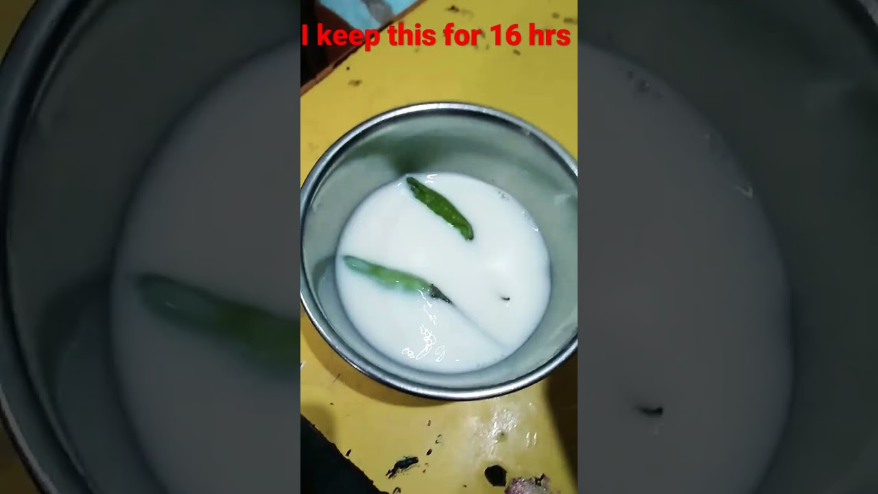 Making curd using green chili pass or fail