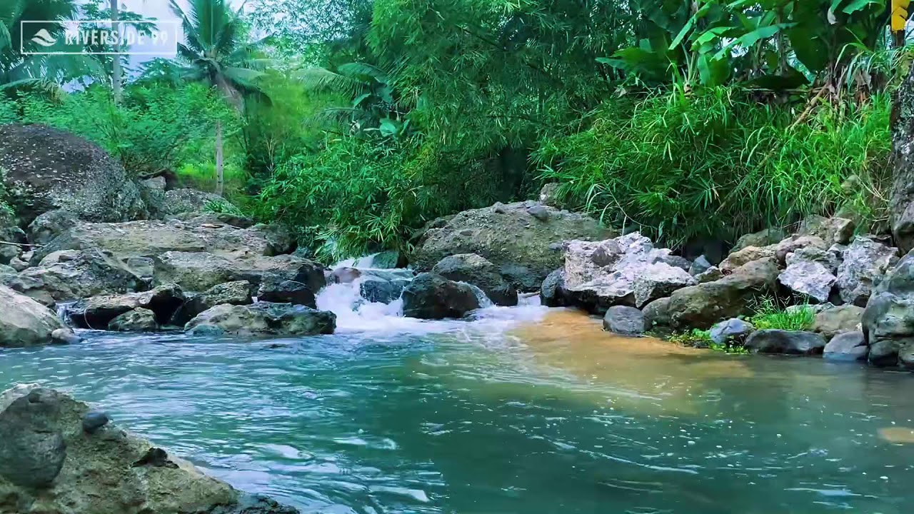 Mountain River Flowing Sounds 24/7 for Sleeping | Nature Water Sounds White Noise for Relaxation #5