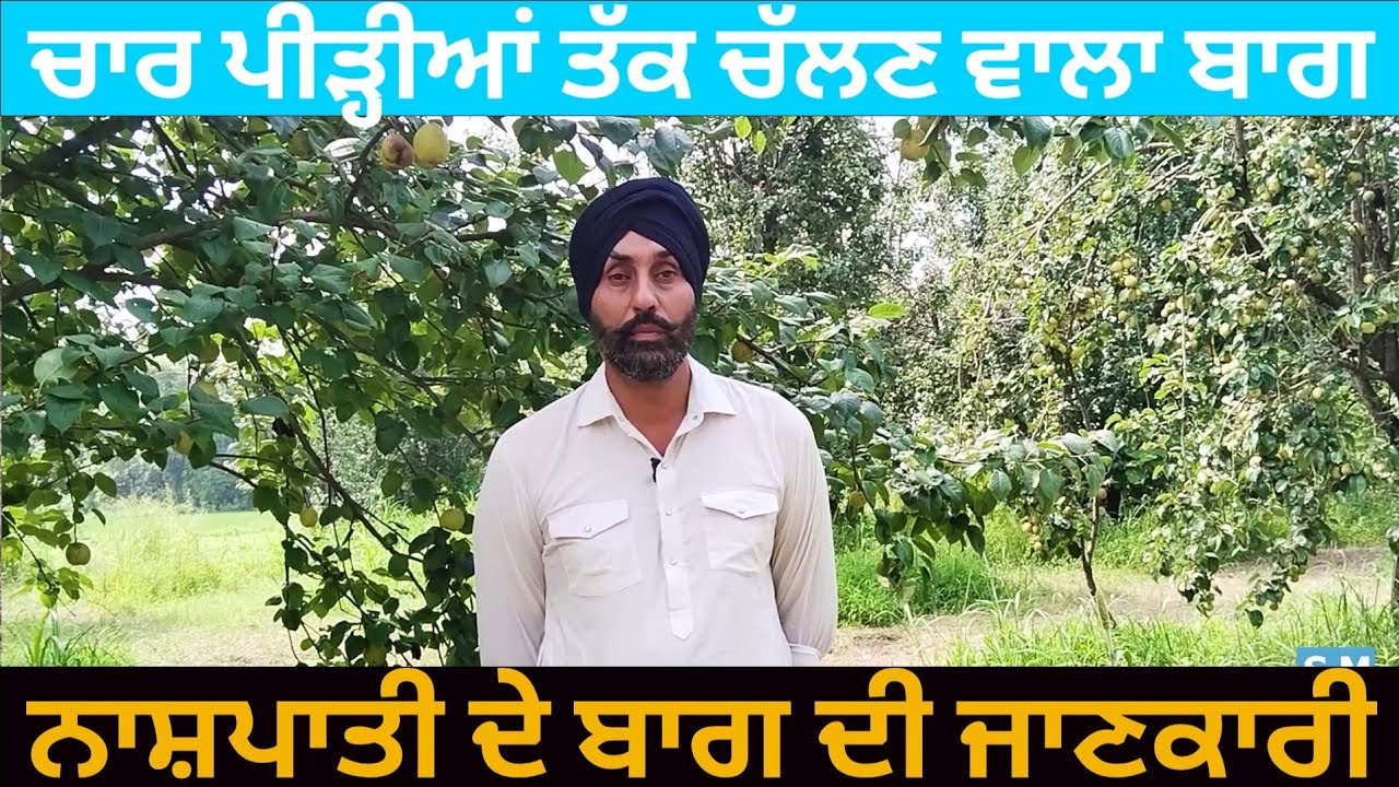 ਚਾਰ ਪੀੜ੍ਹੀਆਂ ਤੱਕ ਚੱਲਣ ਵਾਲਾ ਬਾਗ || ਨਾਸ਼ਪਾਤੀ ਦੇ ਬਾਗ ਦੀ ਜਾਣਕਾਰੀ || Farmer and Farming Ep 49