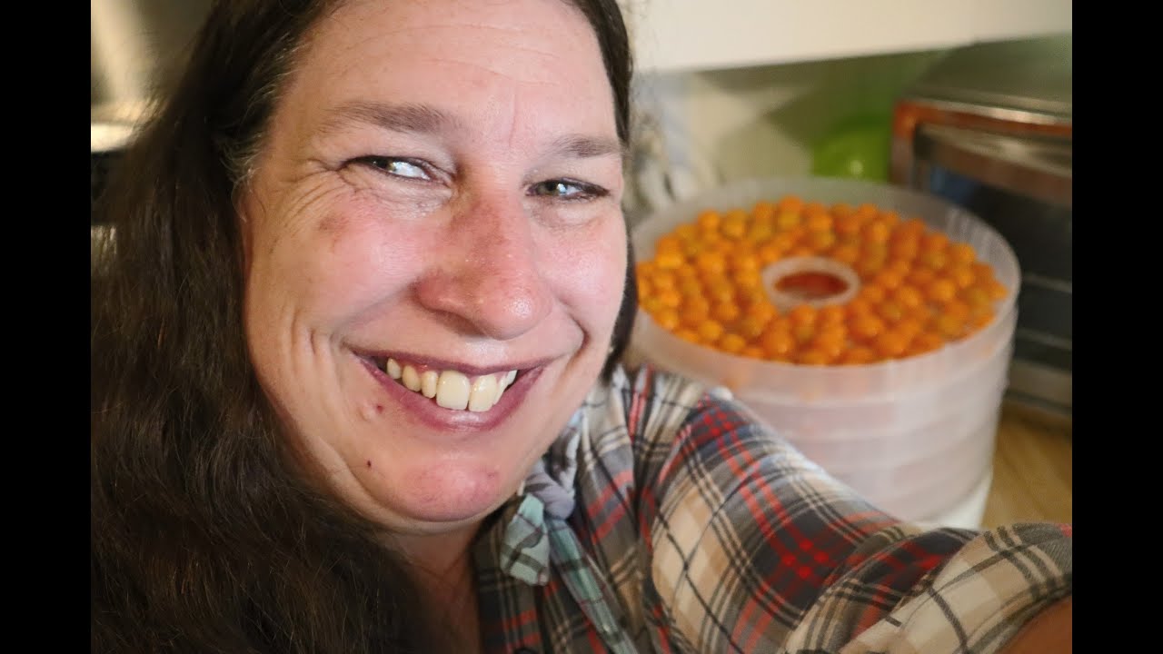 How to DEHYDRATE cherry tomatoes in a round dehydrator from Aldis: Sungold Cherry Tomatoes