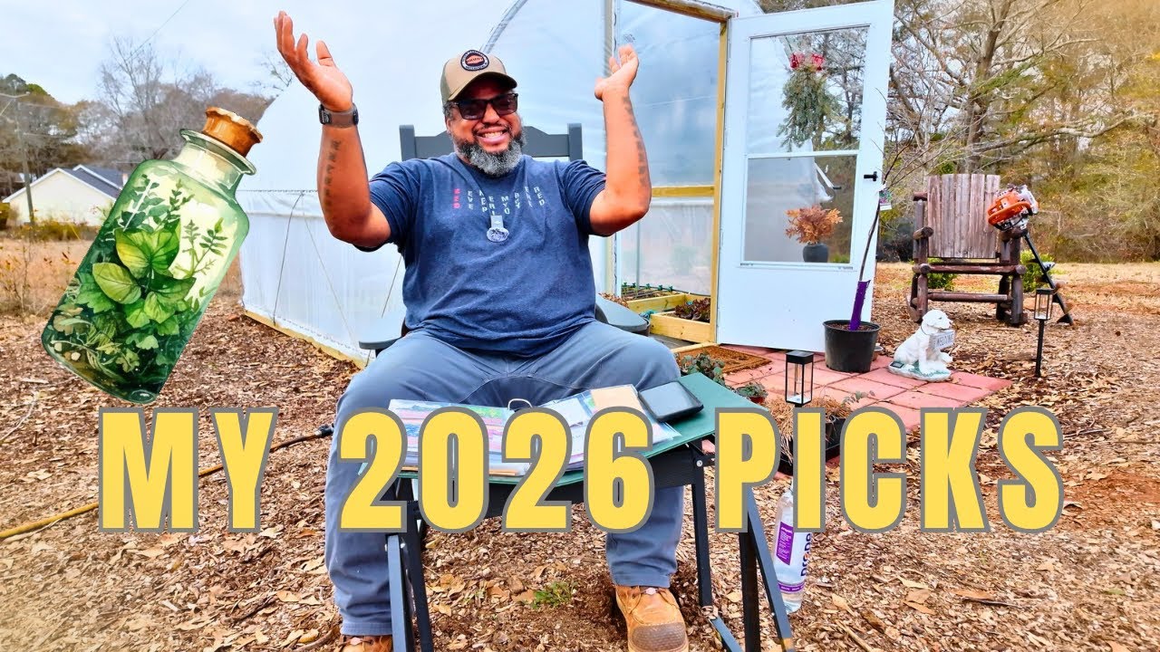 After Everything I’ve Learned… These Are My 2026 Herb Seeds