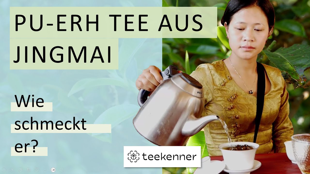 Pu-Erh Tee aus dem historischen Jingmai-Teegarten