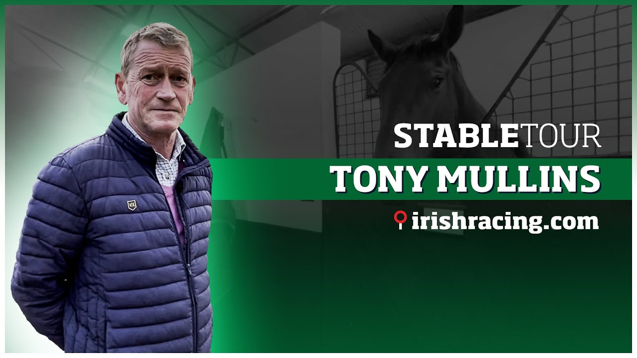 Tony Mullins Stable Tour | February 2023