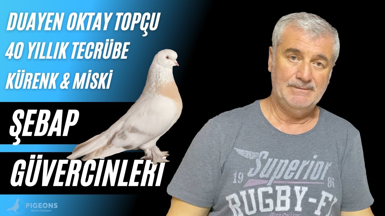 ''Bir Güvercine Ev Parası Ödedim'' Sarıyerli Oktay Topçu Şebap Güvercinleri II