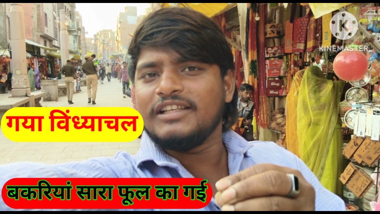 गया विंध्याचल बकरियां सरफूल खा गई 🙏🙏😱😱🌺🌺