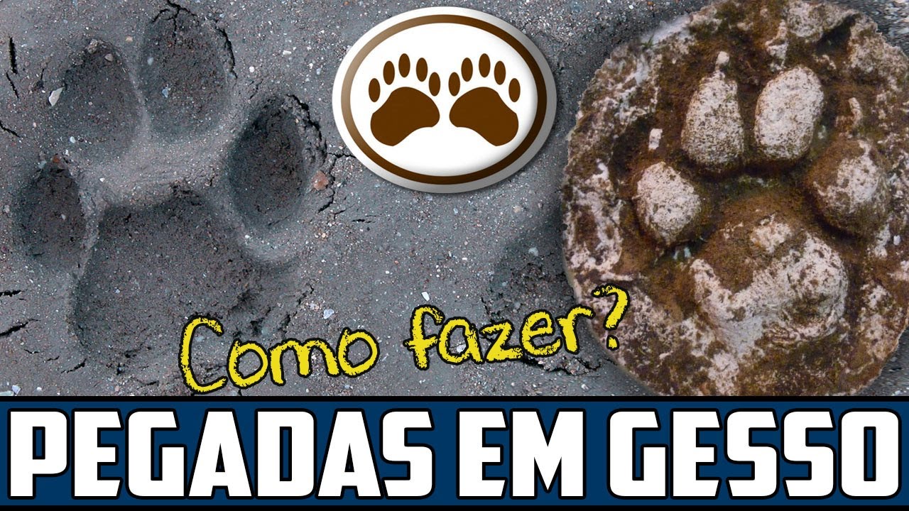 Rastreio de Animais | Como fazer moldes em gesso das pegadas de animais