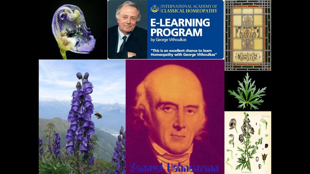 George Vithoulkas ~ Aconite (Aconitum Napellus)