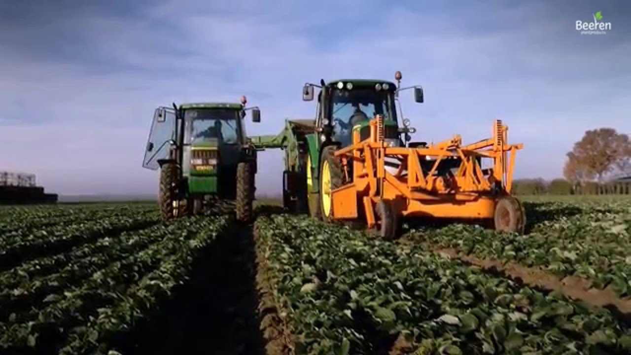 Beeren Plantproducts - Corperate movie ENGLISH