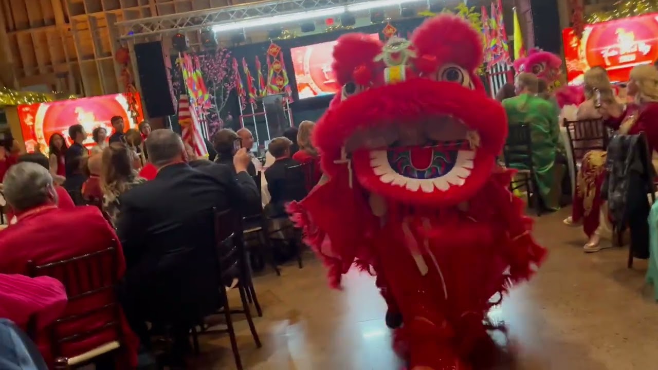 Lion Dance Performance Feb 14 2026