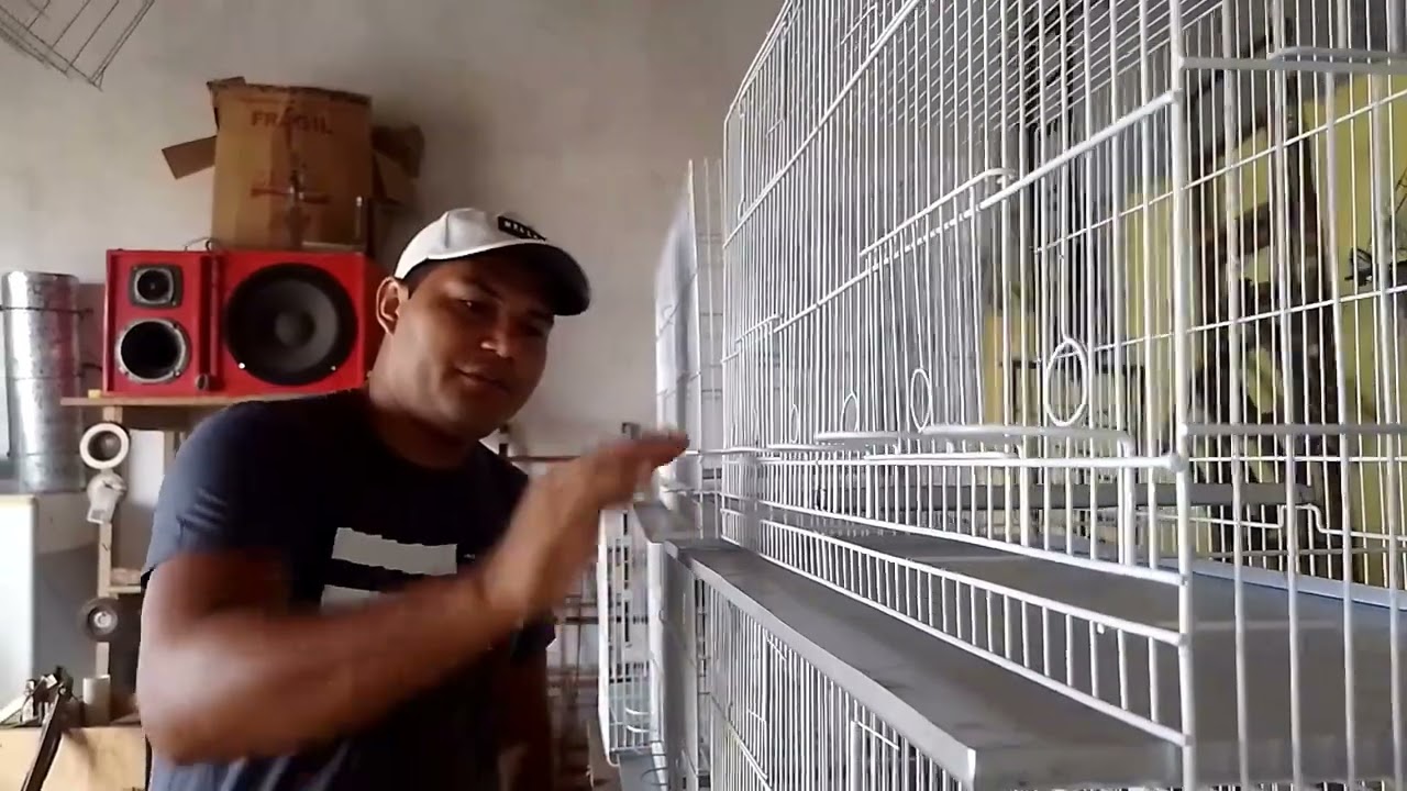 (TODOS OS DETALHES) Gaiola Criadeira com 06 comedores fixos | 70x42x30