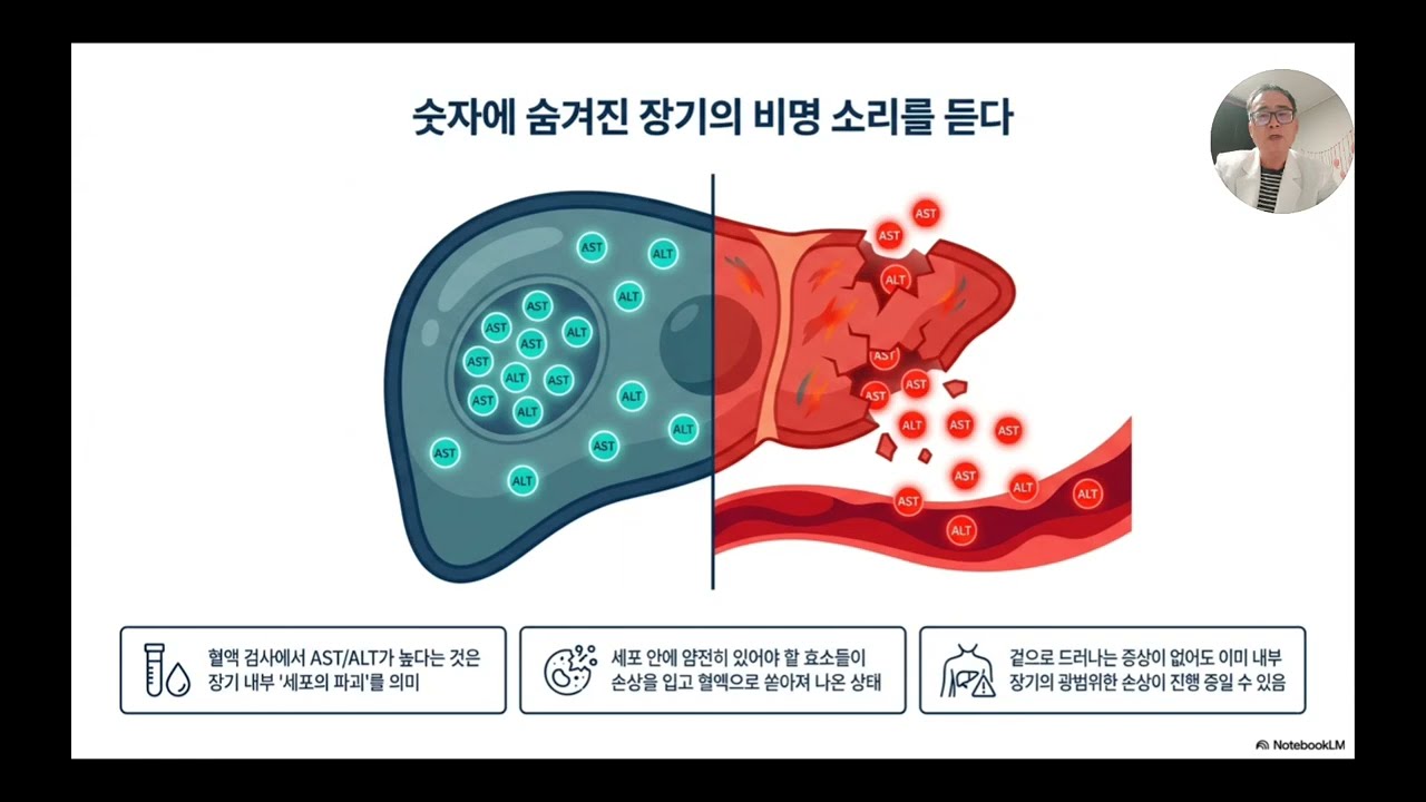 AST ALT 상승의 진짜 의미 | 응급실 의사의 간수치 해석법