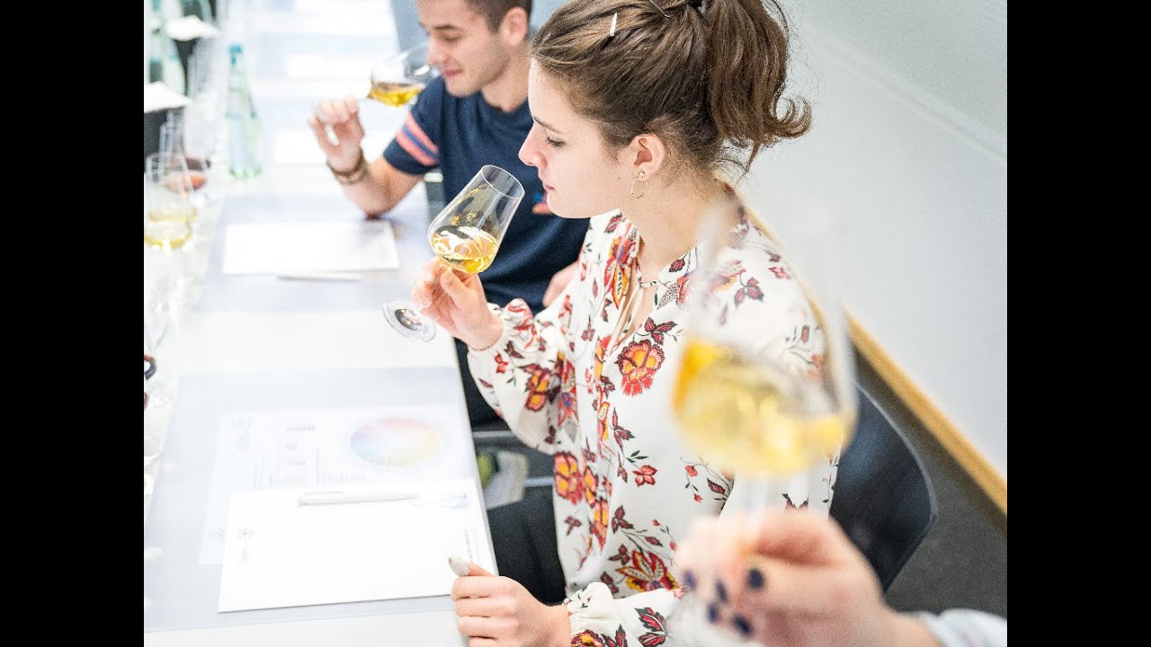 International Wine Institute. Ein Tutorial 
