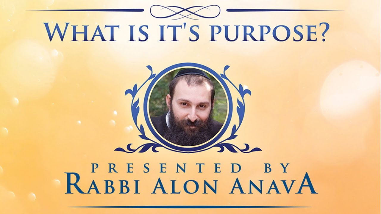 Rabbi Alon Anava Tips on Marriage and Dating.