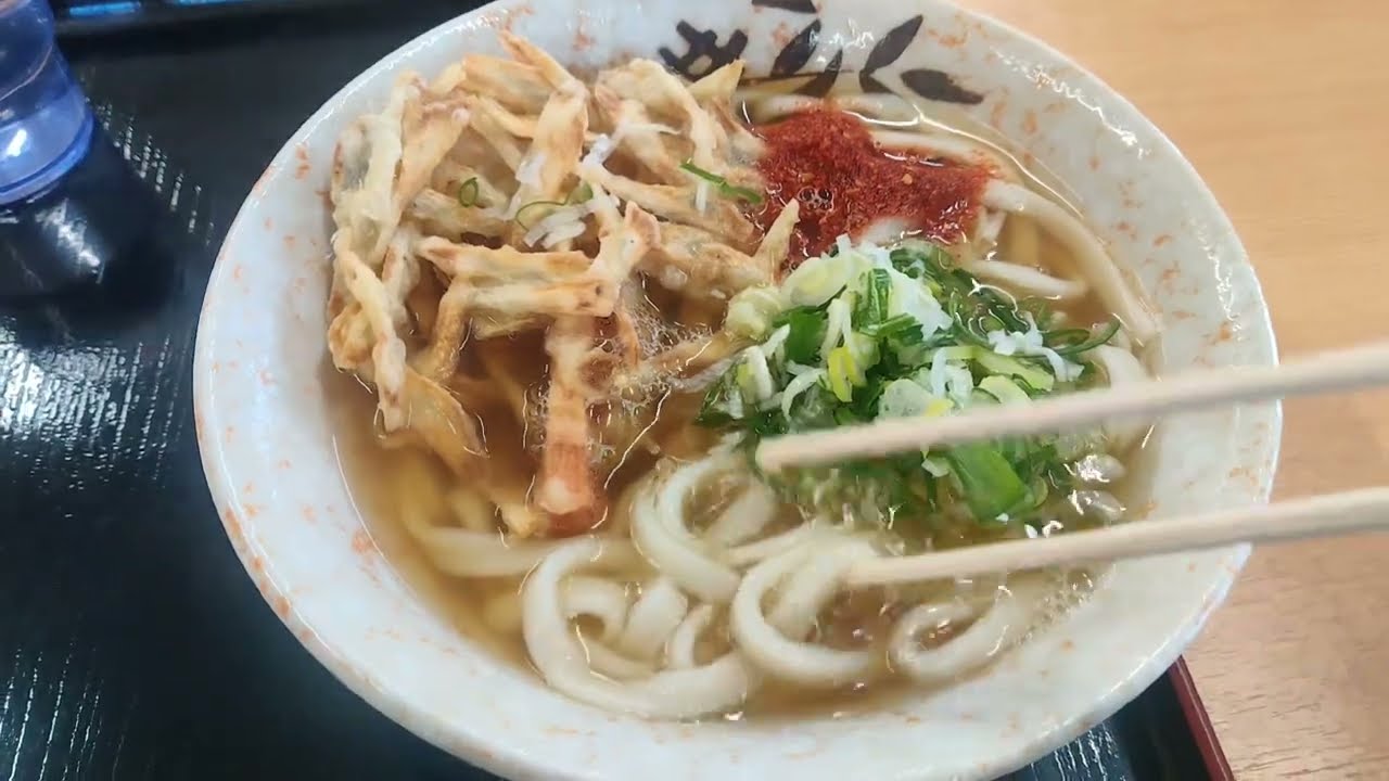 【宮崎市】豊吉うどん&鬼玉うどん&はつみうどん&おくのうどん&麺処どなん本郷に行きました😊 #ごぼう天うどん #宮崎うどん #宮崎グルメ #宮崎ランチ #野菜天 #たぬきそば