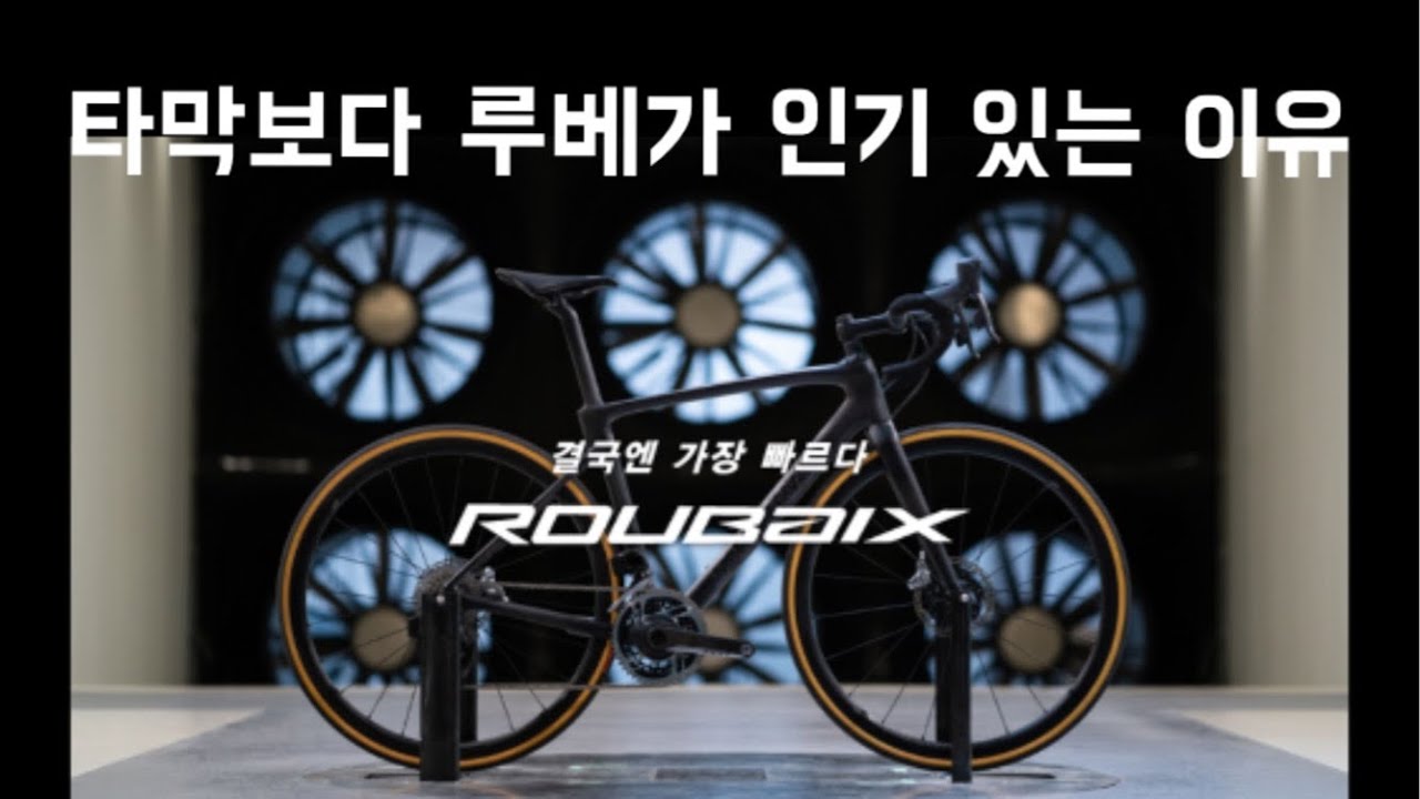 2020 루베 콤프 | 루베를 타야하는 이유 | Specialized 2020 Roubaix Comp