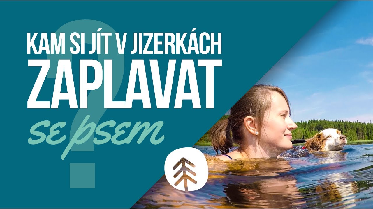 Koupání se psem v Jizerkách  🌊 | Tipy & triky | Lesem se psem