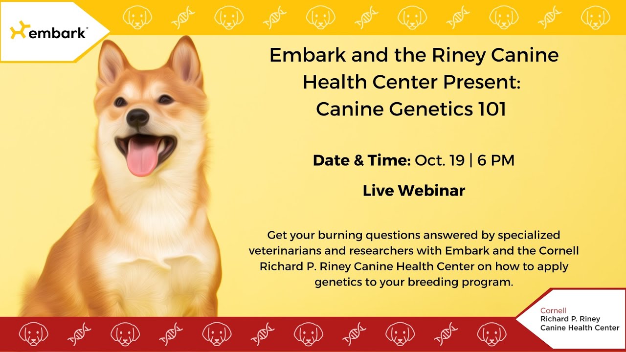 Embark and the Riney Canine Health Center Present: Canine Genetics 101