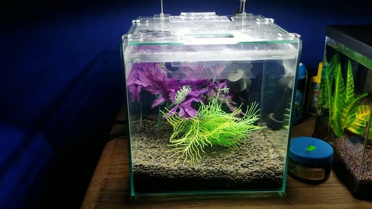 Top Fin Shrimp And Plant Oasis Kit Review