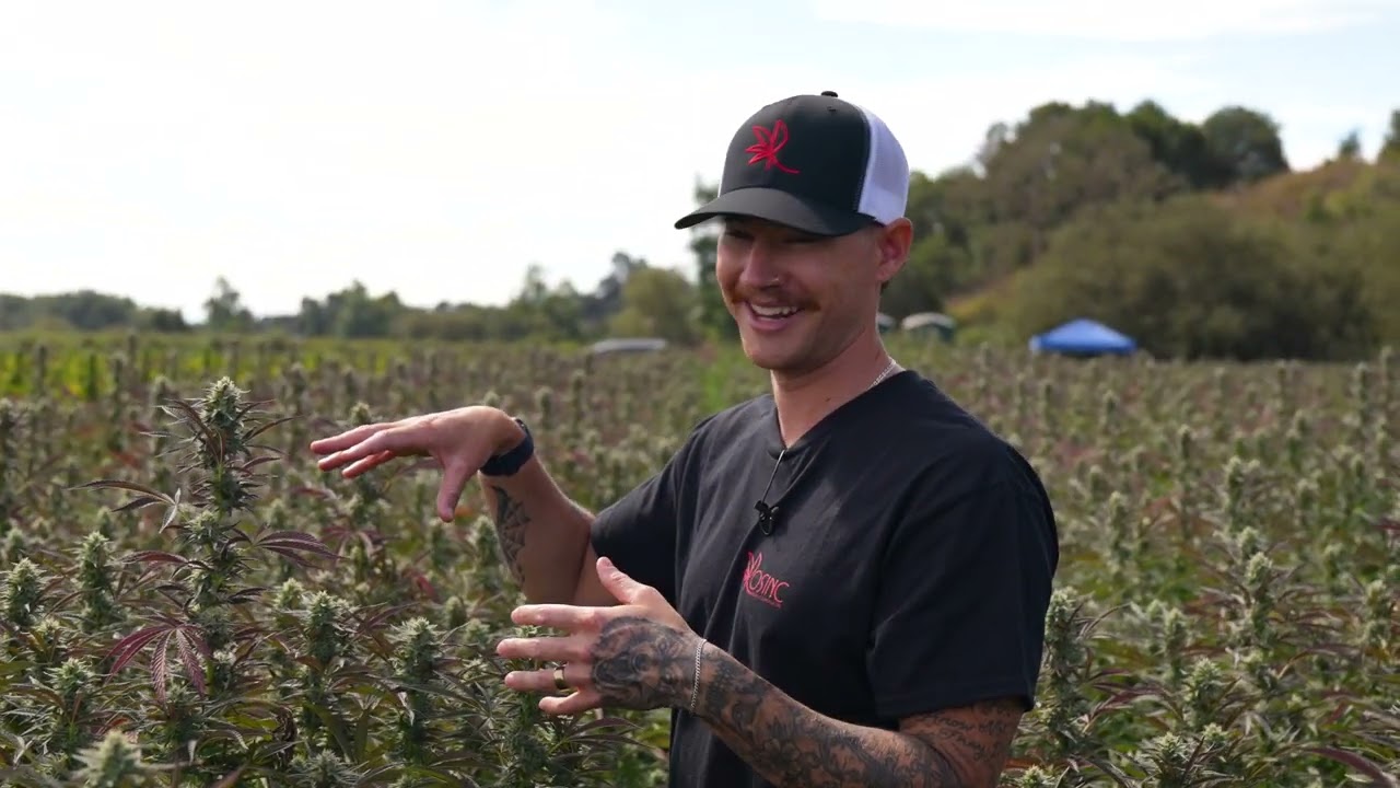 Chasing Terps: A Farm Tour