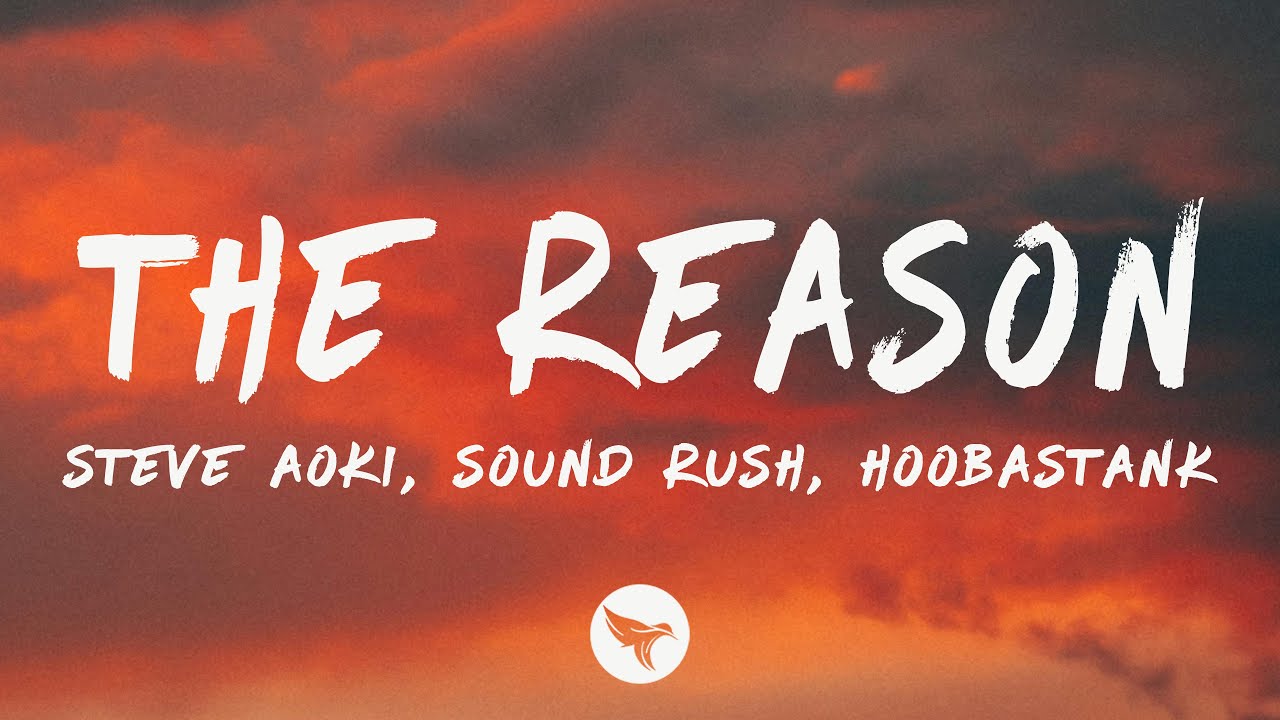Steve Aoki, Sound Rush - The Reason (Lyrics) ft. Hoobastank