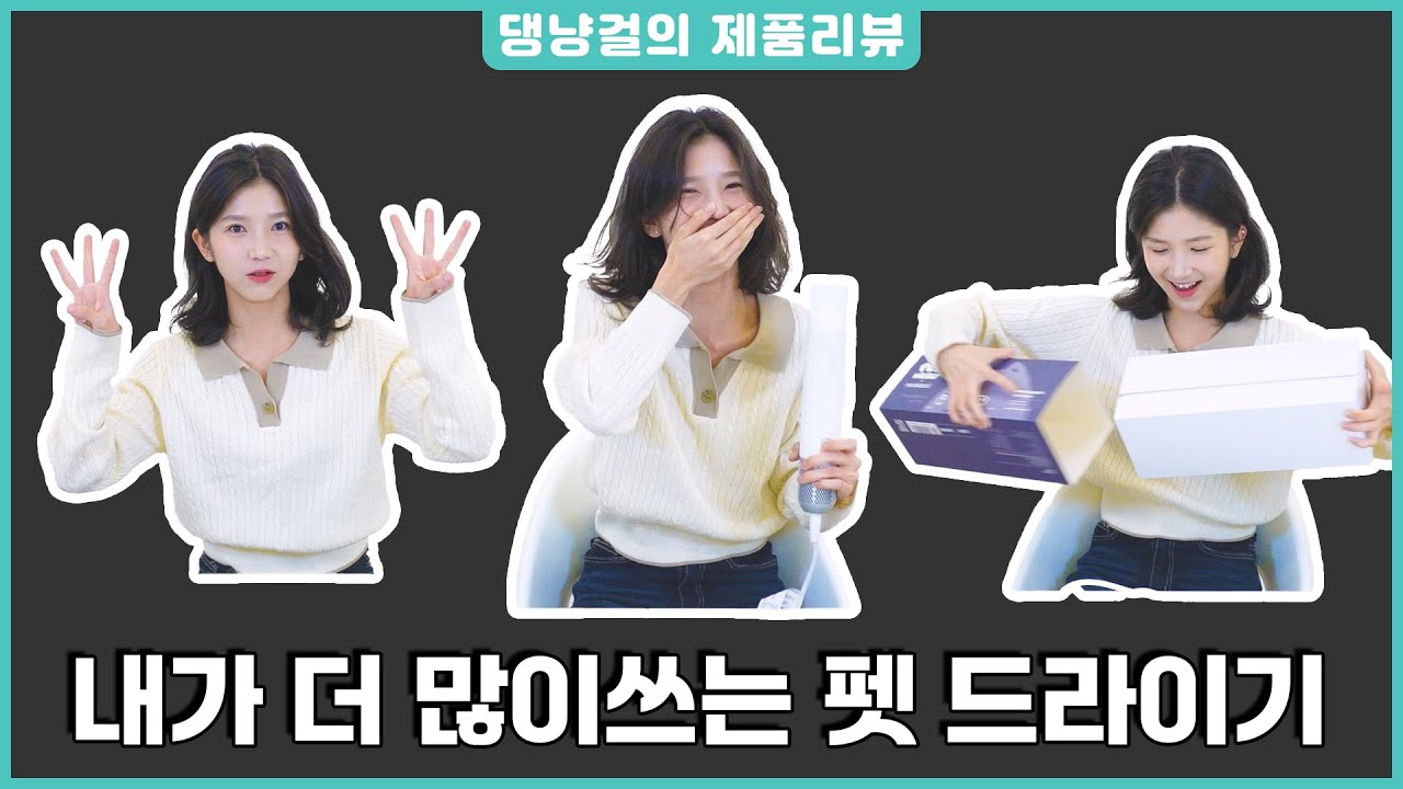 [댕냥걸의 제품 리뷰] 진짜 강력하면서도 아이들 스트레스 안받는 펫 드라이어 찾으시나요?