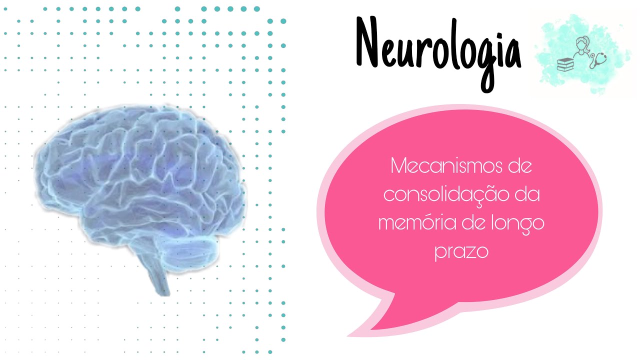 Mecanismos de Consolidação da memória de longo prazo