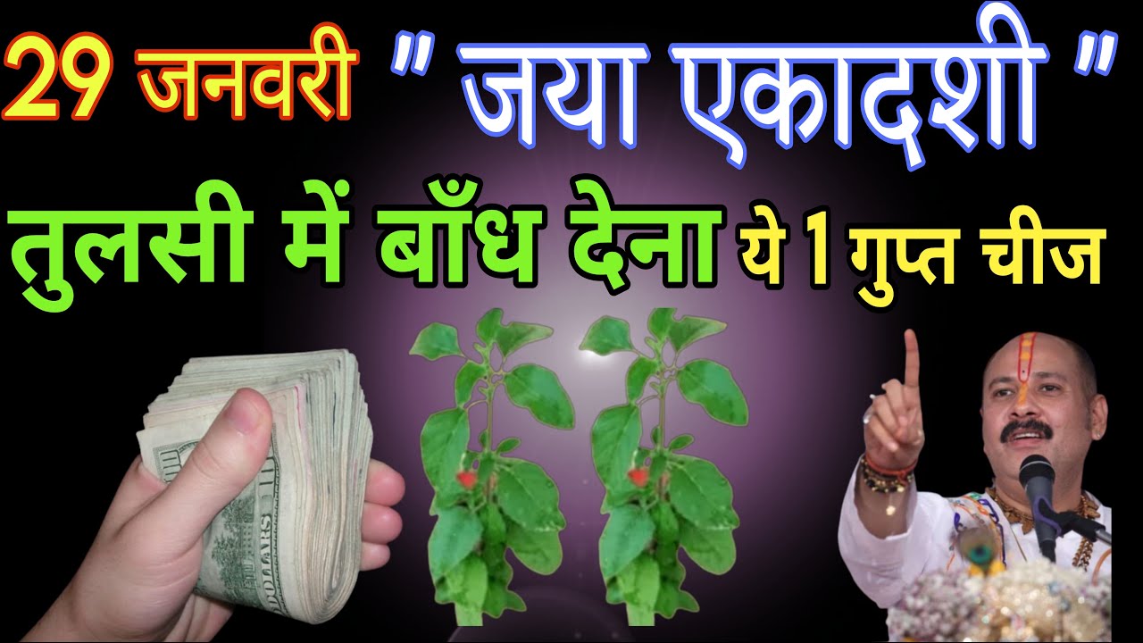 29 जनवरी जया एकादशी के दिन तुलसी मे बांध दे ये 1 चीज जन्मो की गरीबी होगी दूर बनोगे करोड़पति #upay