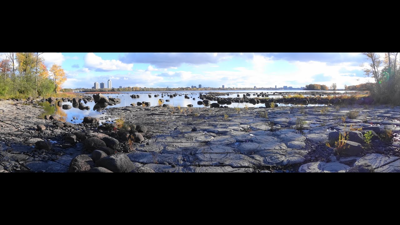 Ecology of the Ottawa Valley - Episode 2, Ottawa River Stromatolites