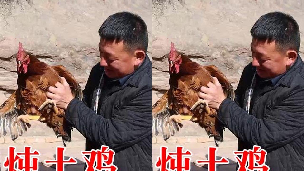 兄弟俩略施小计就能让胖厨子高高兴兴的炖了自己的土鸡吃！ #乡村美食 #农村土鸡