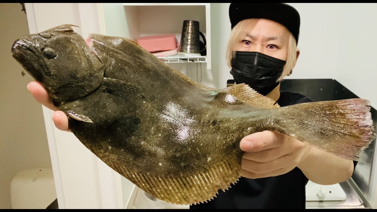 【ノーカット】ヒラメのさばき方と刺身【釣り人必見】
