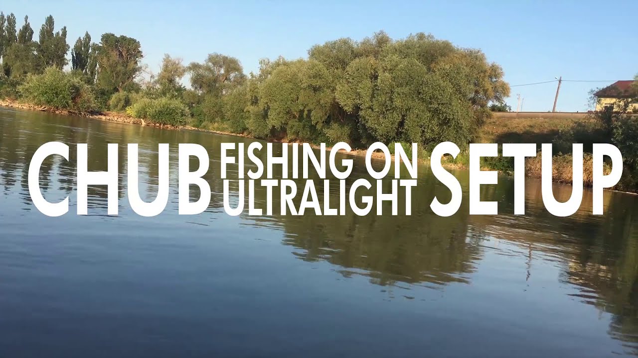 Chub Fishing On Ultralight Setup ft Shimano Scorpion BFS XG