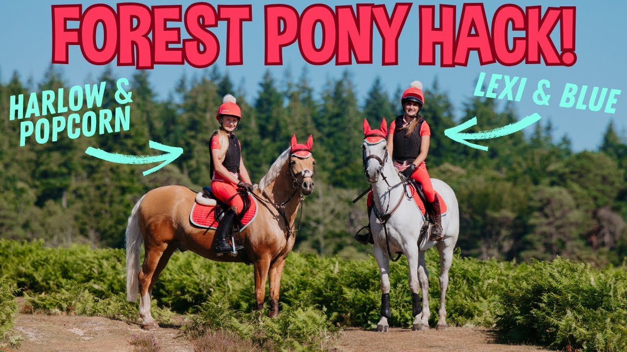 SUMMER NEW FOREST PONY HACK! HARLOW AND LEXI!