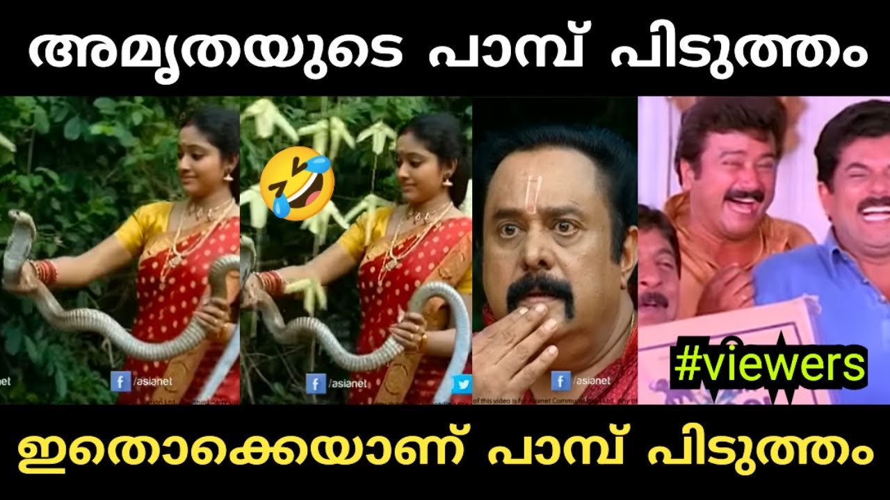 ഭീകരിയാണ് ഇവൾ കൊടും ഭീകരി 😂|chandhanamazha|amirtha snake caught troll vedio Malayalam