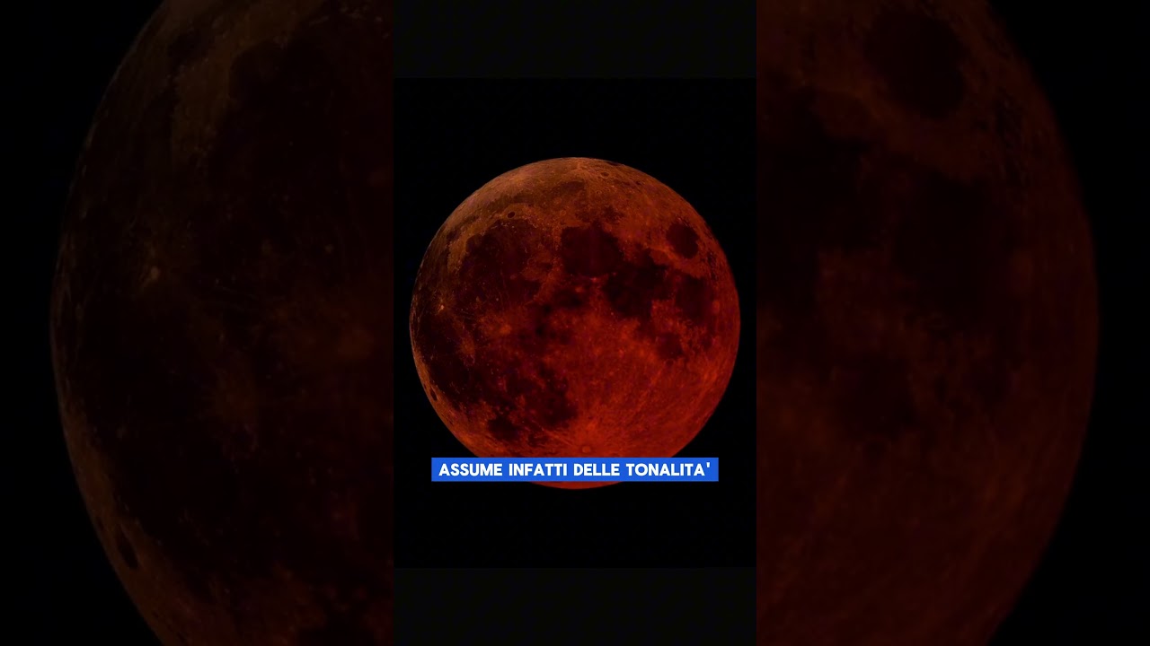 Una nuova eclissi di Luna per il 3 marzo #shorts