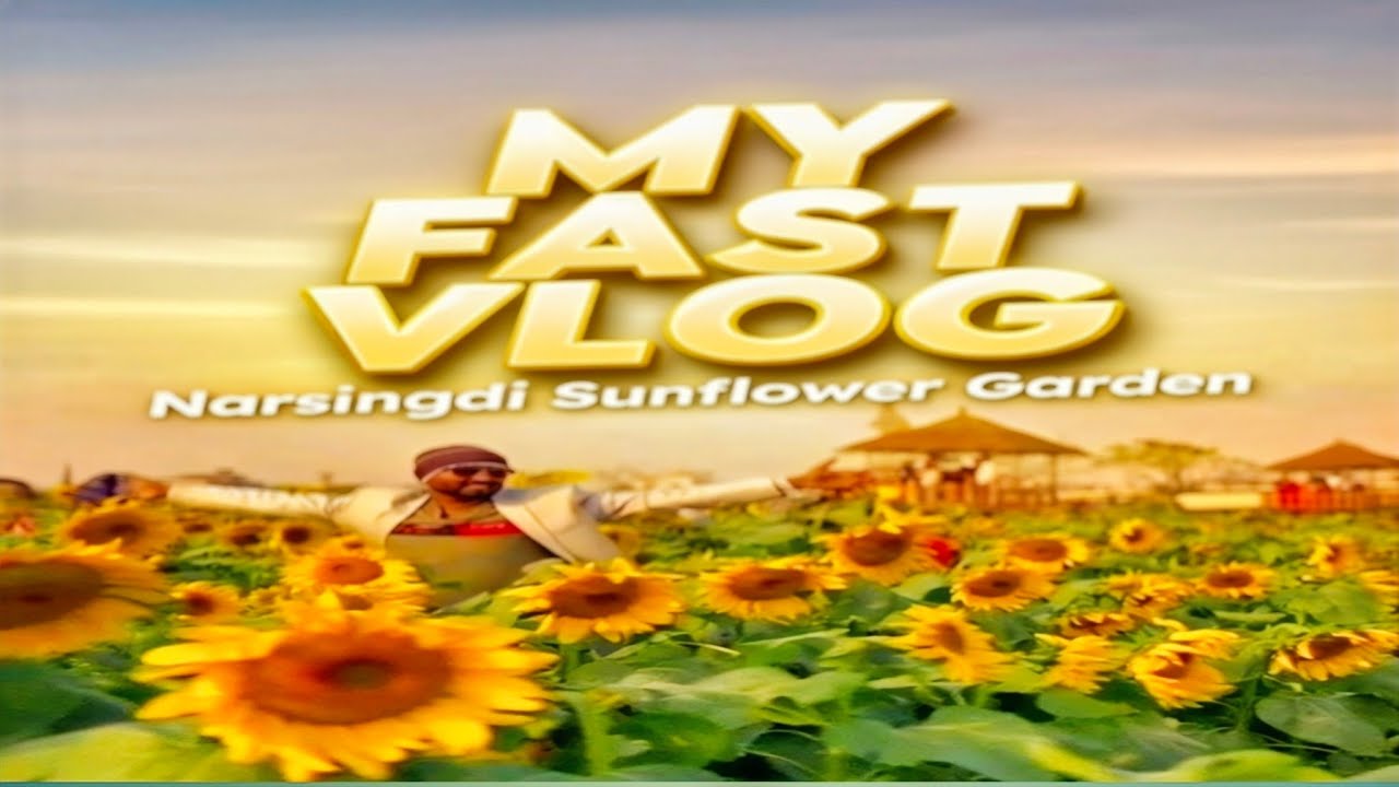 😍 নরসিংদী Sunflower Garden! এত সুন্দর হবে ভাবিনি | Travel Vlog 2026।। #SunflowerGarden #Narsingdi 