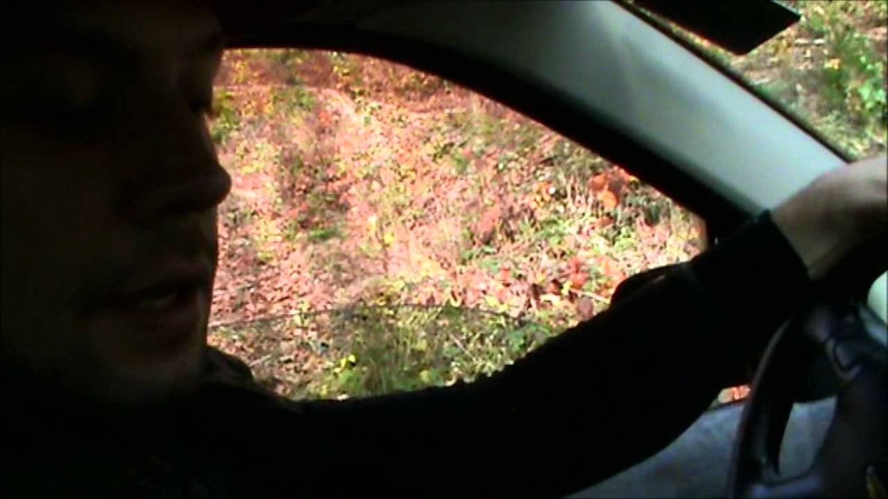 JAGD JAGDSCHUTZ  J&Auml;GER SCHIESST WILDERNDEN HUND???