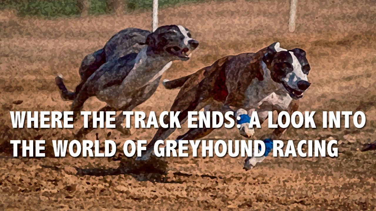 Where the Track Ends: A documentary about greyhound racing