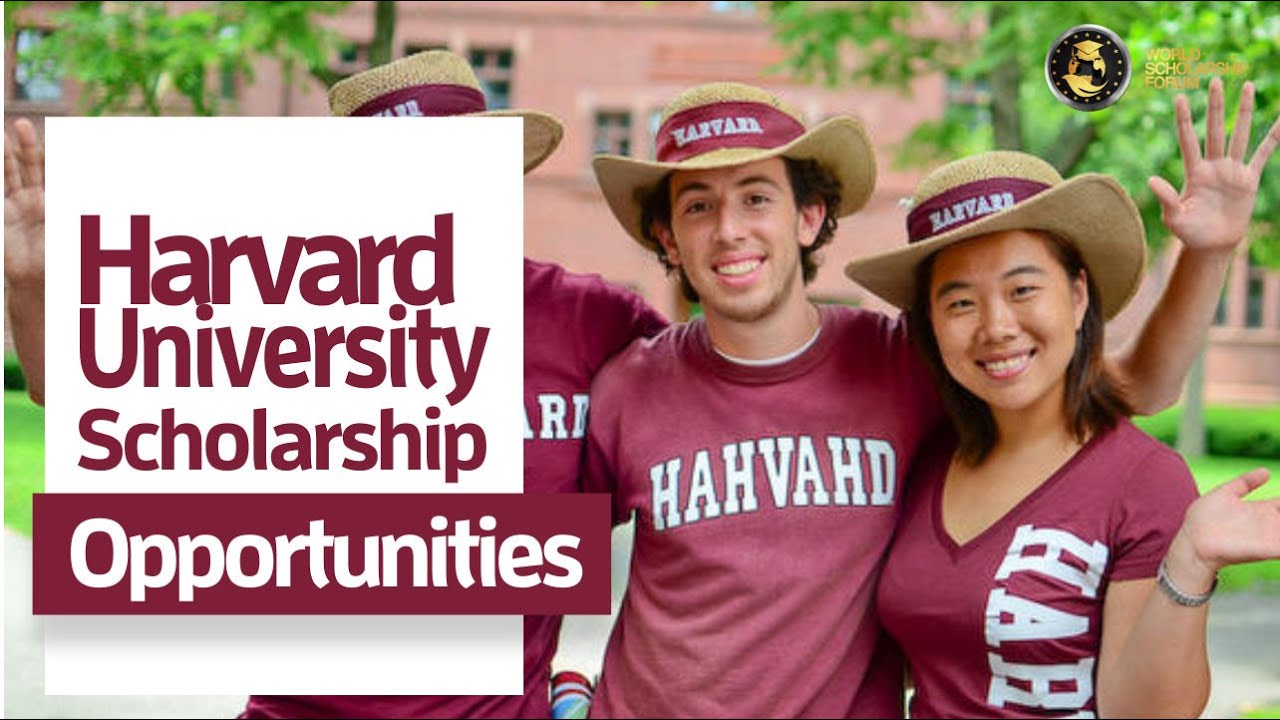 Top 5 Harvard Scholarships You Should Look Out For in 2022