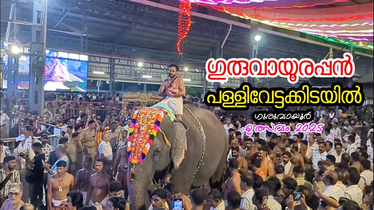 ഗുരുവായൂരപ്പൻ പള്ളിവേട്ടക്കിടയിൽ GURUVAYUR ULSAVAM 2025 PALLIVETTA