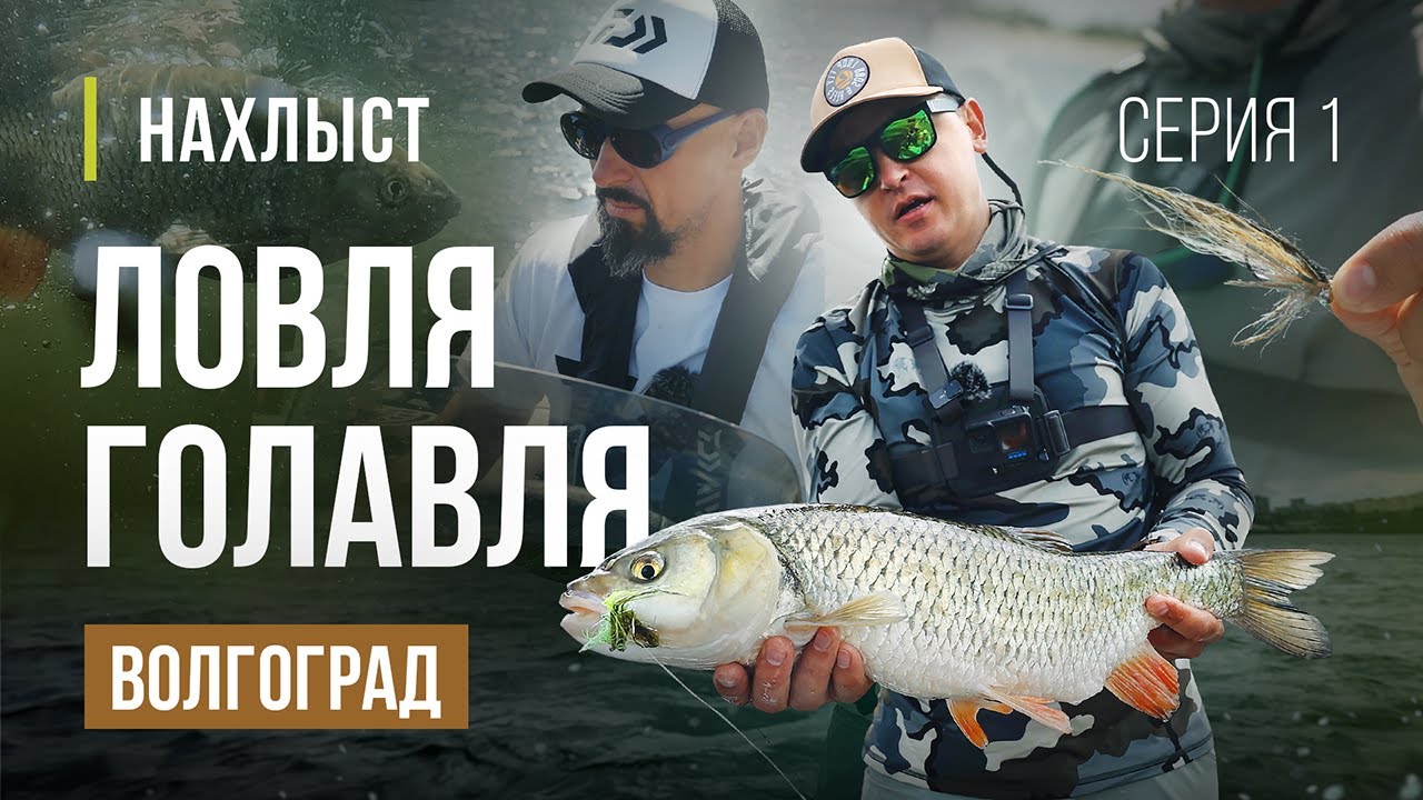 ВОЛГОГРАД ловля крупного ГОЛАВЛЯ нахлыстом. Незабываемая рыбалка, мушки для ловли.